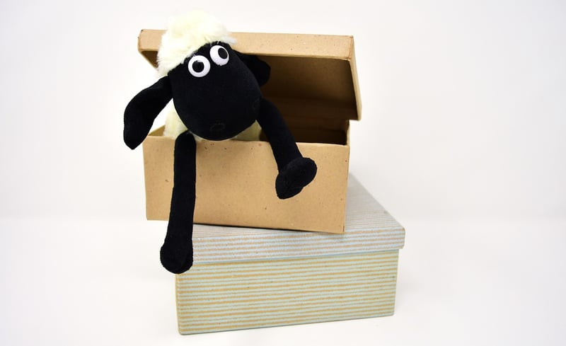 Make toys from cardboard
